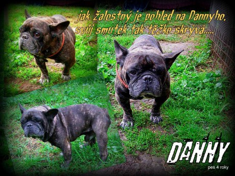 1175512_661025110577288_1351247448_n